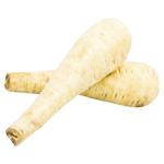 Fresh Parsnip Root