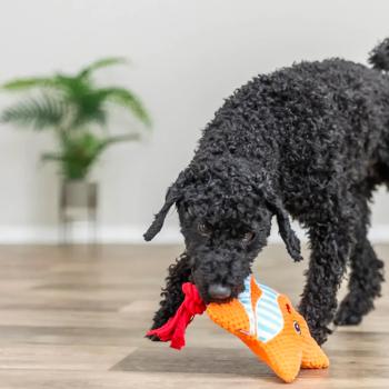 Trixie Starfish Dog Toy 22cm - buy, prices for MasterZoo - photo 3