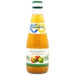 Galicia apple juice 0.3l glass