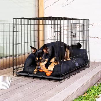 Іграшка для собак Doggi Catch & Carry Ribbed Bone 14х8х4,8см - купити, ціни на MasterZoo - фото 4