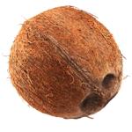 Coconut, pc