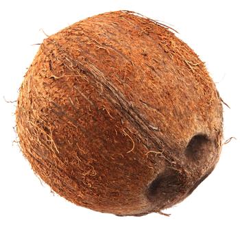 Coconut, pc - buy, prices for COSMOS - photo 1