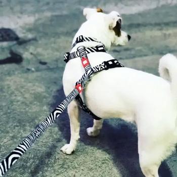 Max and Molly H-Harness Зебра шлея для собак 33,5-41 см - різнокольоровий - купити, ціни на MasterZoo - фото 5