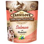 Food Carnilove 300g
