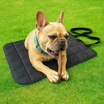 Килимок Pet Fun Water Proof 60х80см сірий - купити, ціни на MasterZoo - фото 2