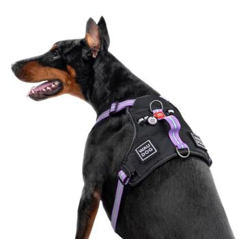 Шлея для cобак COLLAR WOUDOG Нейлон M - фіолетовий - купити, ціни на MasterZoo - фото 2
