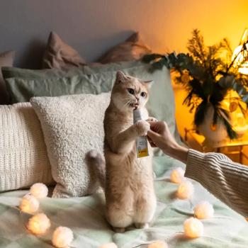 Лакомство для кошек GimCat Expert Line Relax паста для снижения уровня стресса 50г - купить, цены на MasterZoo - фото 5