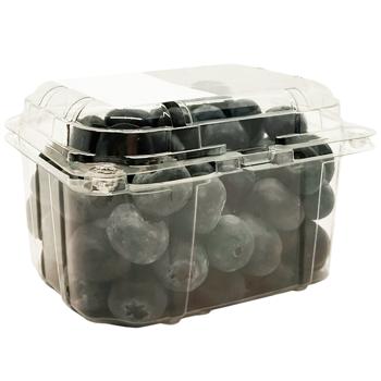 Blueberry Spain - buy, prices for Vostorg - photo 3