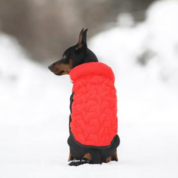 Курточка для собак AiryVest Uni р.S38 красный-черный - купить, цены на MasterZoo - фото 2