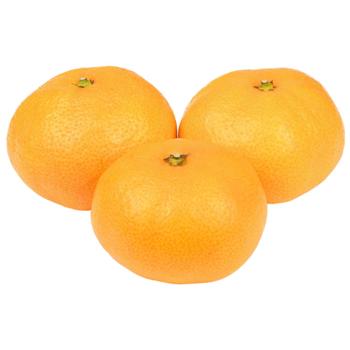 Mandarin Turkey - buy, prices for Chudo Market - photo 1