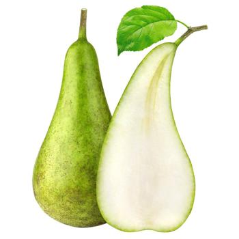 Conference Pear