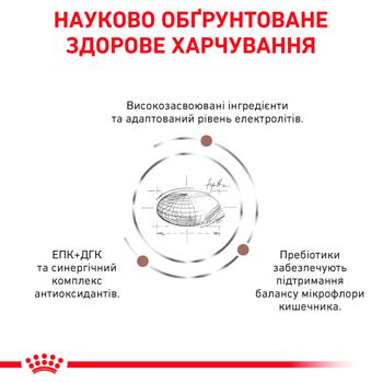 Набір корму Royal Canin Gastrointestinal з домашньою птицею для котів із захворюваннями шлунково-кишкового тракту сухий 2кг + вологий 4шт х 85г - купити, ціни на MasterZoo - фото 6