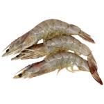 shrimp vannamei Without brand