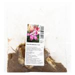 LA Arbatax Lily Bulb