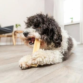 Ласощі для собак Trixie Chewing Паличка XS 13,5 см / 30 г - сир - купить, цены на MasterZoo - фото 6