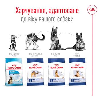 Корм сухой Royal Canin 8+ с домашней птицей для пожилых собак больших пород 15кг - купить, цены на MasterZoo - фото 4