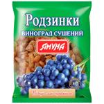Yamuna Dark Raisins 150g