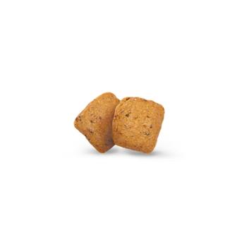 Корм сухий Green Petfood InsectDog Hypoallergen з комахами для собак всіх порід з харчовою алергією 10кг - купити, ціни на MasterZoo - фото 2