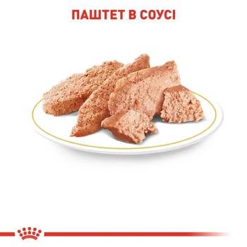 Корм влажный Royal Canin Adult с домашней птицей для собак породы йоркширский терьер 9+3шт*85г - купить, цены на MasterZoo - фото 5