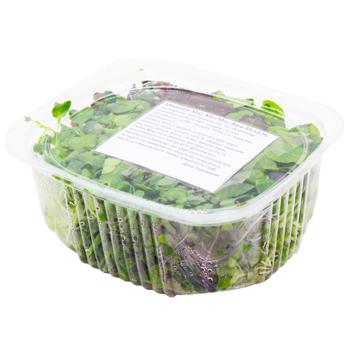 Mix Min Mix Microgreen 45g - buy, prices for WINETIME - photo 1