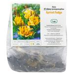 Цибулина Яскрава Лілія OT гібрид трояндоподібна Apricot Fudge 1шт