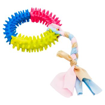 Ring with Spikes Toy for Dogs 22.5cm - buy, prices for - photo 1