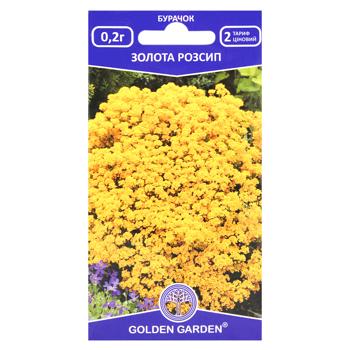 Golden Garden Golden Scattering Alyssum Flowers Seeds 0.2g