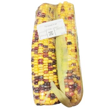 Corn, pc - buy, prices for COSMOS - photo 1