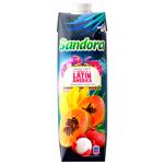 Sandora Carnival of Latin American Nectar 950ml