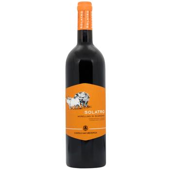 Castelli del Grevepesa Solatro Morellino di Scansano Red Dry Wine 13.5% 0.75l - buy, prices for WINETIME - photo 1