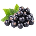 Смородина чорна