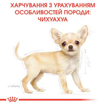 Корм сухой Royal Canin с домашней птицей для щенков породы чихуахуа 1,5кг - купить, цены на MasterZoo - фото 5