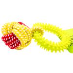 MasterZoo Ring with Rope Ball Dog Toy 17cm