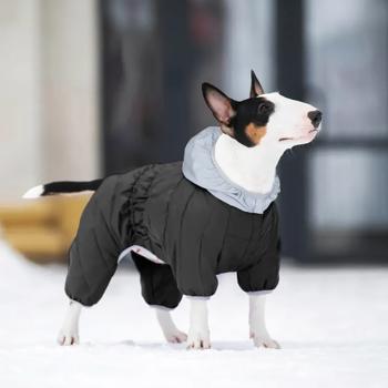 Комбінезон для собак AiryVest One р.XS30 - купити, ціни на MasterZoo - фото 3