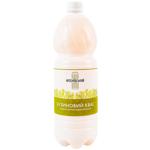 Arseniivskyi Elderflower Live Kvas 1l