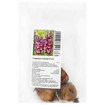 Клубнелуковицы гладиолуса Сиашор 3шт - купить, цены на МегаМаркет - фото 1