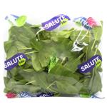 Salute Spinach Salad 75g