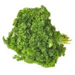 Curly Parsley Bunch 70g