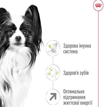 Royal Canin X-Small Adult 8+ Dry Food with Poultry for Dogs of Miniature Breeds 3kg - buy, prices for MasterZoo - photo 3