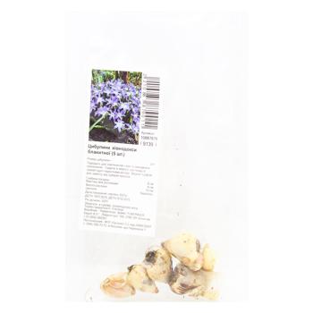 Bulb of Blue Chionodoxa 5pcs - buy, prices for ULTRAMARKET - photo 1