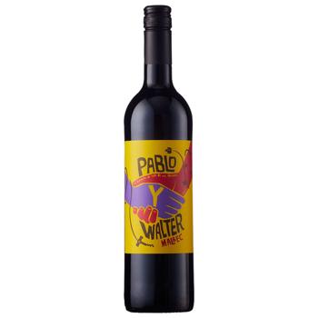 Вино Pablo y Walter Malbec красное сухое 13,5% 0,75л - купить, цены на Чудо Маркет - фото 1