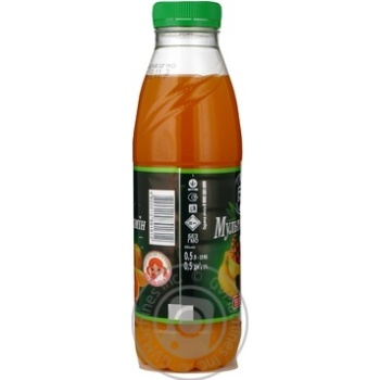 nectar "Erlan" PJSC fruit 500ml plastic bottle Ukraine - buy, prices for - photo 9