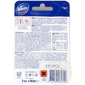 Bloc Domestos needles for toilets 2pcs 80g Poland - buy, prices for NOVUS - photo 2