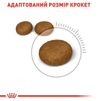 Royal Canin Care Hair & Skin Dry Food with Poultry for Healthy Skin and Coat of Cats 2kg + 400g - buy, prices for MasterZoo - photo 2