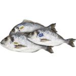 Metro Chef Dorado Greece 600-800