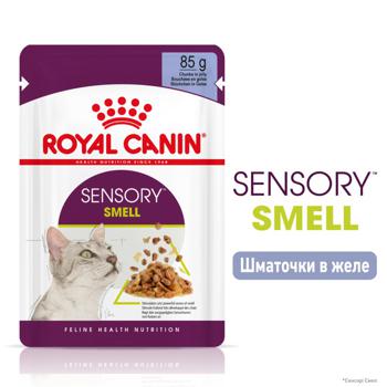 Royal Canin Sensory Smell Wet Food for Fussy Cats 85g - buy, prices for MasterZoo - photo 2