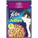 Корм вологий Felix Sensations Jellies з качкою та шпинатом для дорослих котів 85г