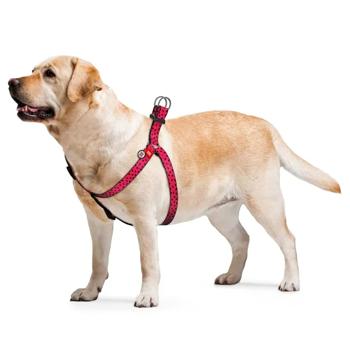 Waudog Nylon Harness for Dogs with QR Passport 40-55cm/15mm with Watermelon Design - buy, prices for - photo 2