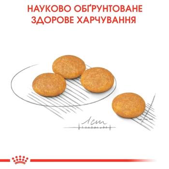 Royal Canin Mini Dermacomfort cухий корм для собак 3 кг - купити, ціни на MasterZoo - фото 2