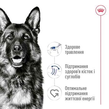 Корм сухой Royal Canin с домашней птицей для взрослых собак больших пород 4кг - купить, цены на MasterZoo - фото 2